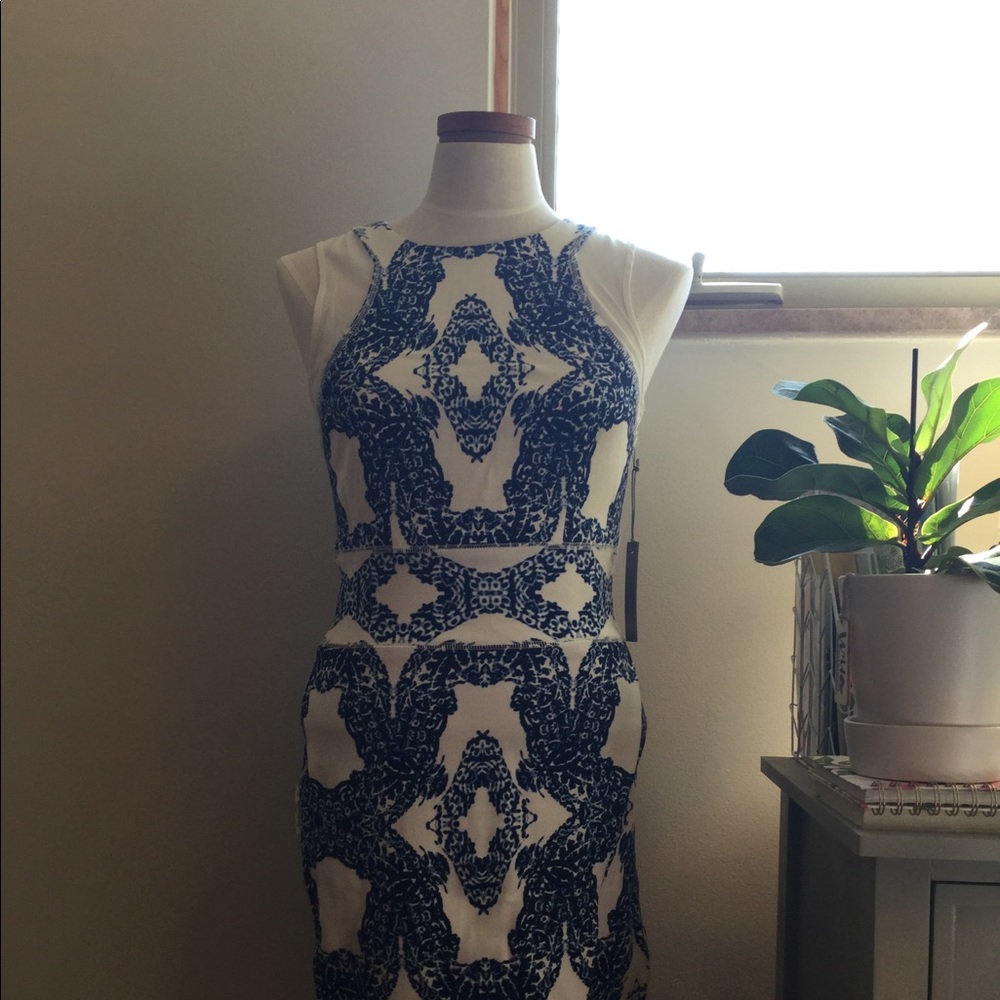 Tart Collection Dress - Picture 2 of 5